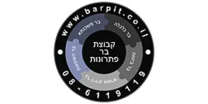 לוגו-תמונה